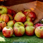 Manfaat apel